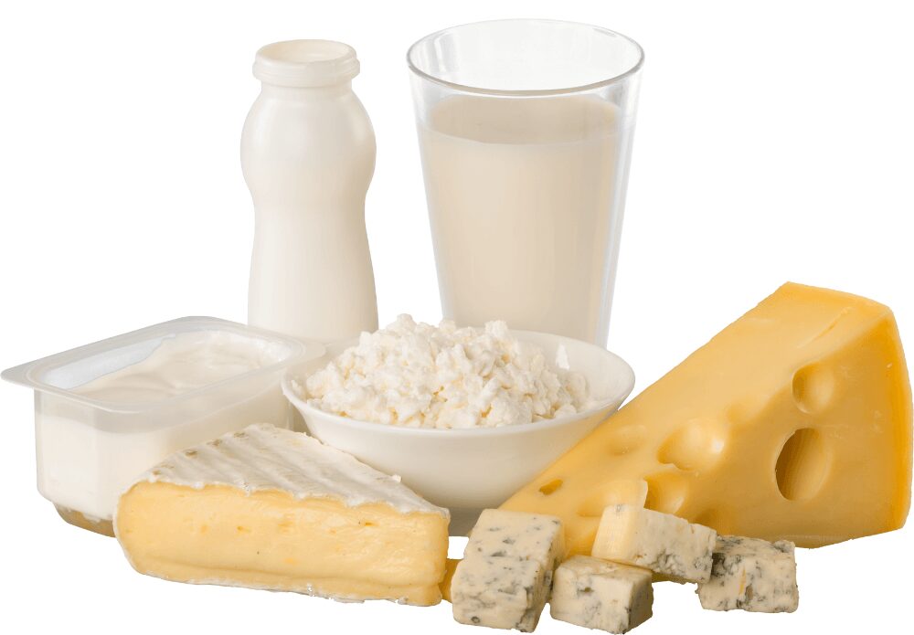 Milk and other dairy products help you lose fat.