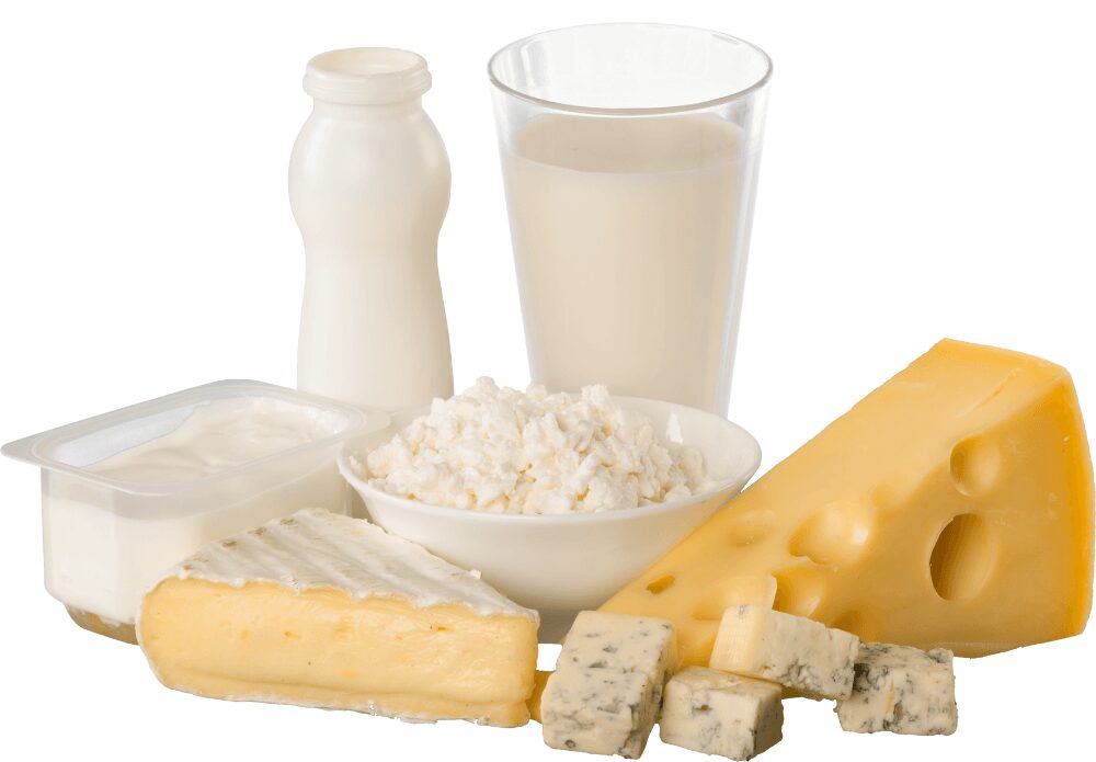Milk and other dairy products help you lose fat.