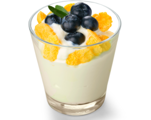 a cup of yogurt contains probiotics