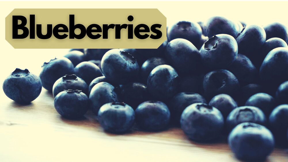 bunch of blueberries on a table