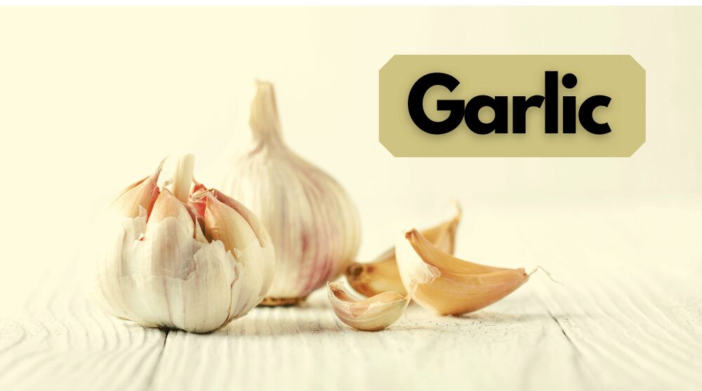 cloves of garlic and whole garlic