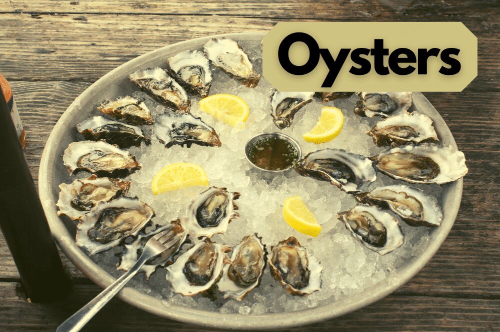 two dozen oysters on an ice plate