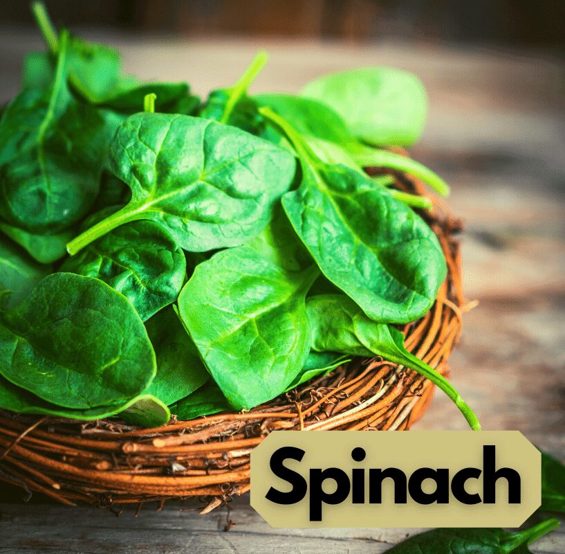 bowl of spinach leaves