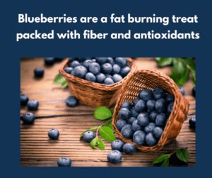 blueberries burn fat because they're high in fiber. Blueberry antioxidants.
