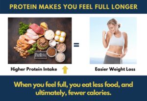  Eating protein for weight loss: How protein helps you lose weight is that when you feel full, you eat less food, and ultimately, fewer calories.
