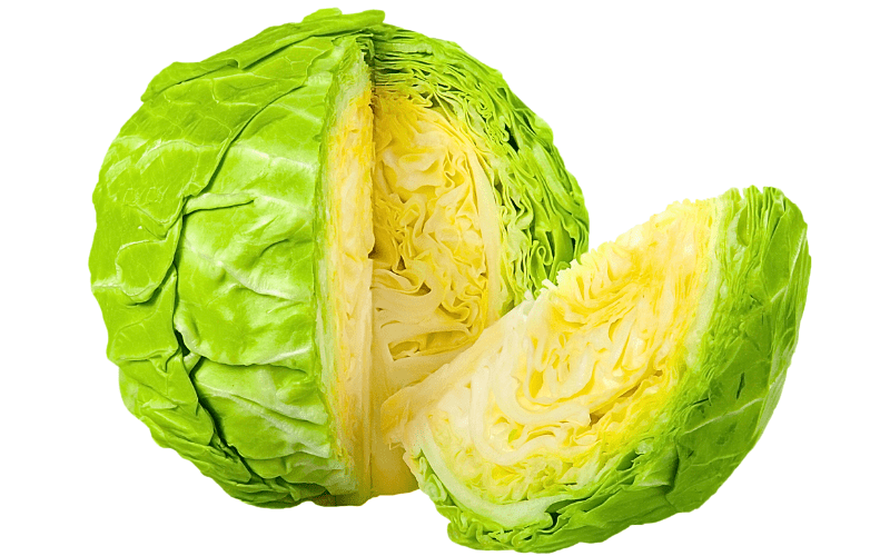 a fresh, vibrant cabbage with a quarter cut out to reveal its inner layers, all against a pristine white background. The intricate, densely packed leaves of the cabbage are prominently displayed, unveiling the vegetable's crisp texture and verdant hues