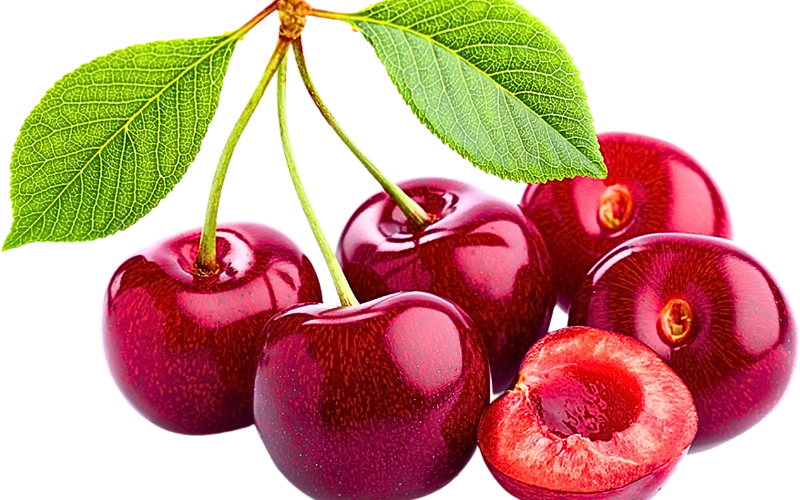 A cluster of cherries, still attached at their stems, with one cherry halved to reveal its juicy flesh and seed, all set against a pristine white background. 