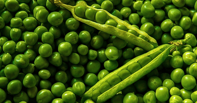 Green Gains: How Pea Protein Is Revolutionizing Fitness