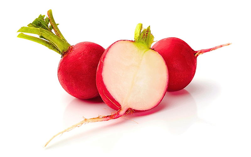 Two whole radishes and one halved, providing a close-up view of their vibrant interiors, all showcased against a pristine white background. This image captures the essence of these crisp, peppery root vegetables, displaying their enticing colors and textures with a focus on their natural appeal.