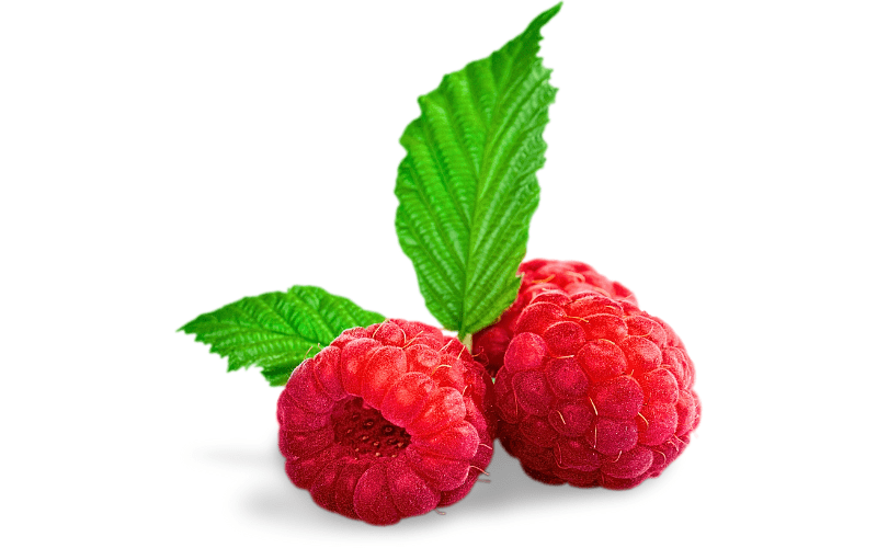 A close-up image showcases a cluster of plump, vibrant raspberries, complete with their delicate stems and leaves, set against a pristine white background. Each raspberry exudes a luscious, deep red hue, while the verdant leaves and slender stems complement the composition. 