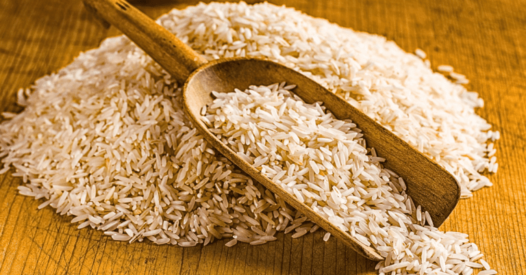 Mighty Grains Unleashed: Rice Protein’s Workout Wonder