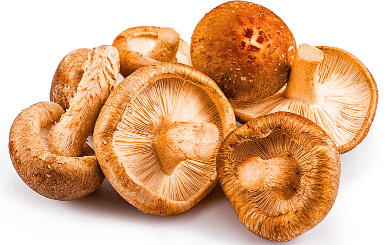 A cluster of shiitake mushrooms up close, prominently displayed against a pristine white background. Their earthy caps and distinctive gills reveal a captivating texture, capturing the essence of these esteemed fungi with a focus on their natural appeal.