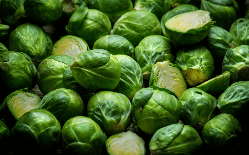 An up close serving of freshly steamed and delicately sliced Brussels sprouts, glistening with moisture and arranged neatly 